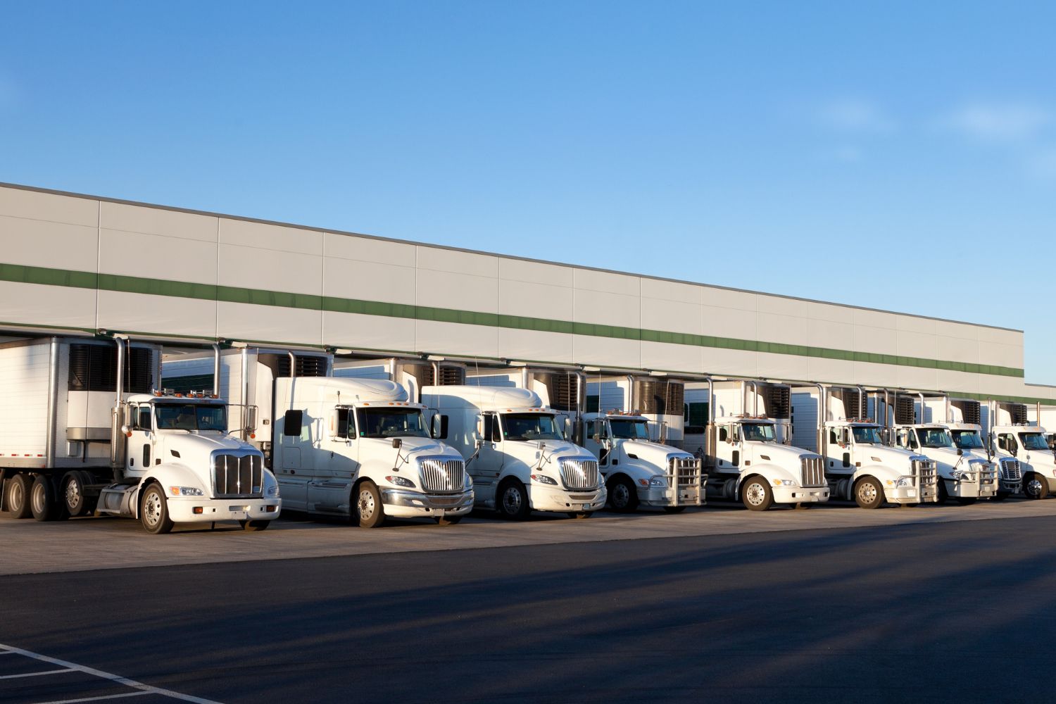 distribution-center-5 distribution-center-5